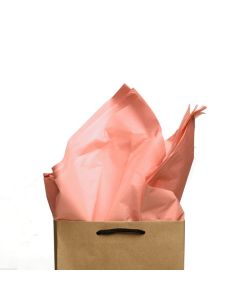 Carton Of 250 Large Green Kraft Recyclable Paper Bags